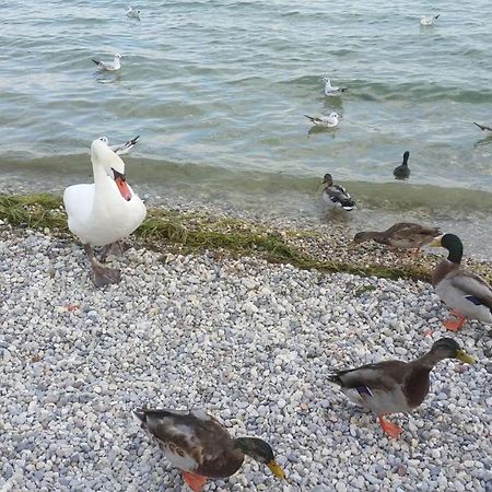 شقة Moniga del Garda  في Antico Convento المظهر الخارجي الصورة